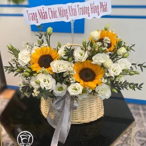 May Mắn