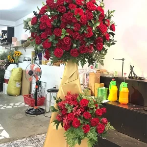 Thành Công Rực Rỡ
