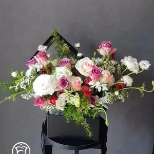 Vườn ươm trong hộp quà