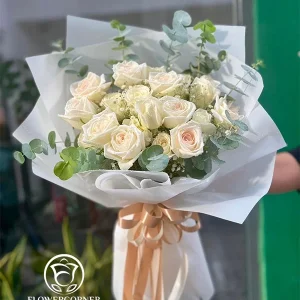 White Love (Hoa hồng Ohara)